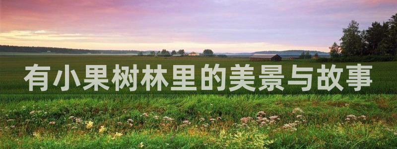 新宝gg登录页面