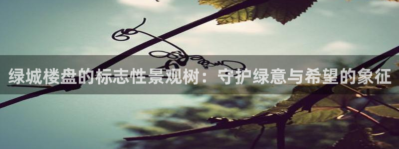 新宝Gg测速地址