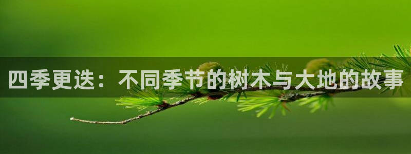 新宝gg 金苹果