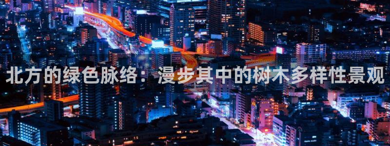 新宝GG管理