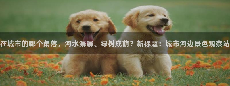 新宝娱gg