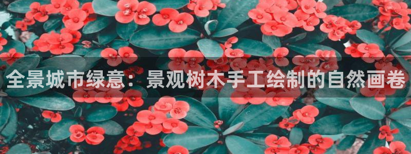 新宝娱乐gg