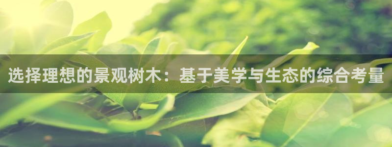 新宝gg娱乐注册全芏网