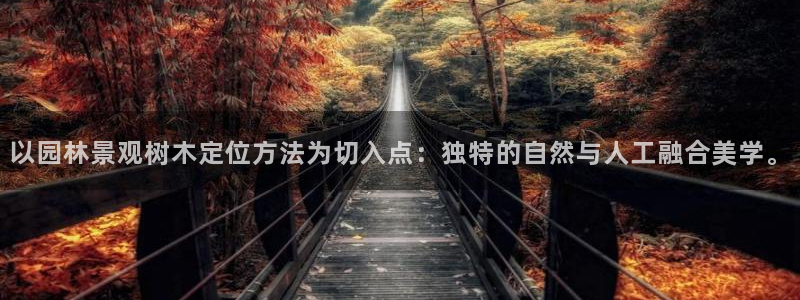 新宝gg属于
