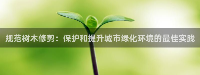 新宝gg网