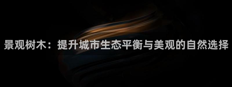 新宝gg是新宝几