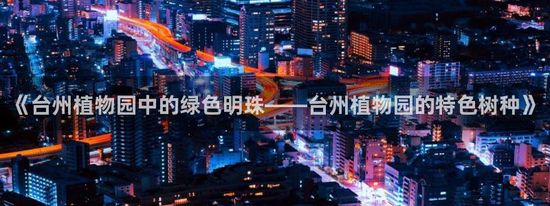 新宝gg属于