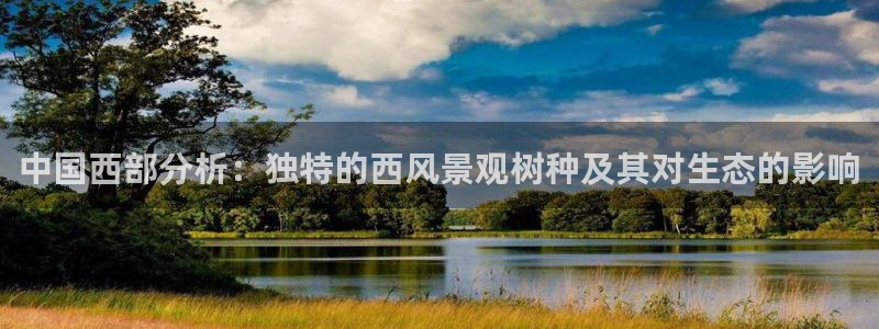 新宝gg如何代理