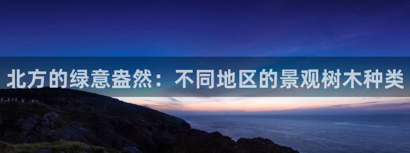 新宝GG手机客户端