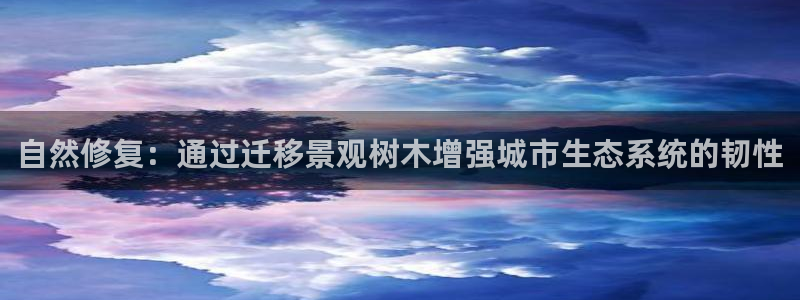 新宝gg娱乐主管q42873