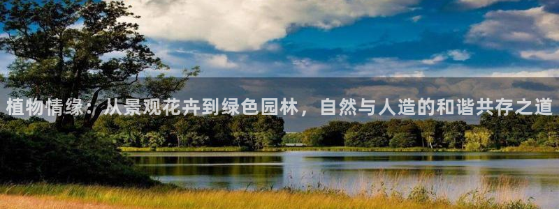 新宝gg挣钱