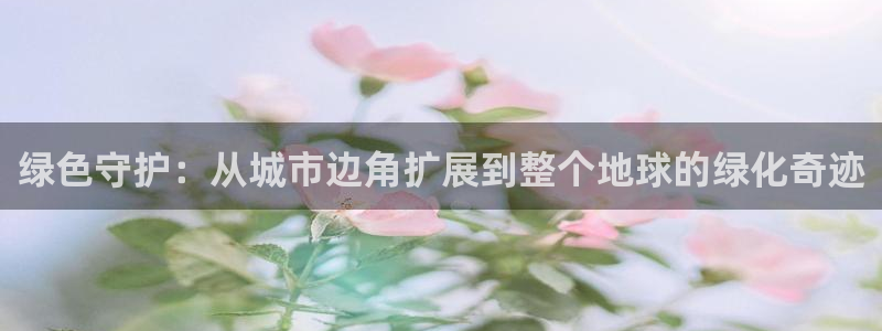 新宝gg计划
