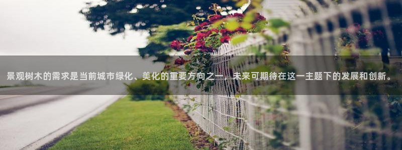 下载新宝gg怎么下载