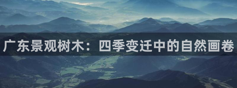 新宝六与新宝gg