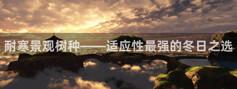娱乐新宝GG