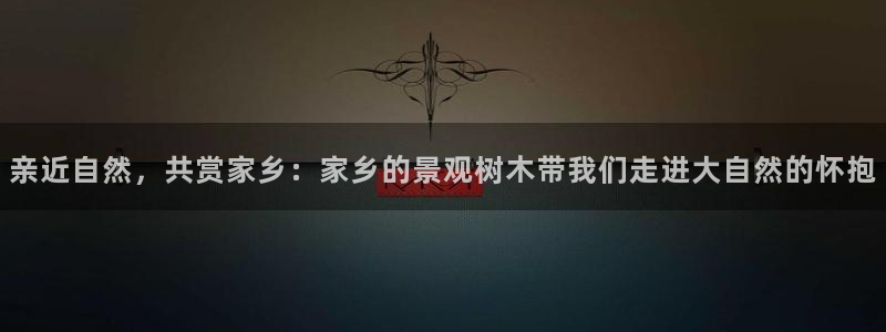 新宝gg评论