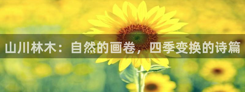 新宝gg是新宝几