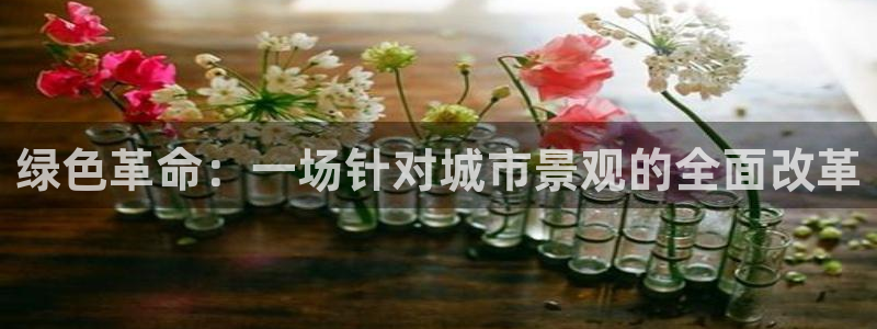 新宝GG 扣.772332
