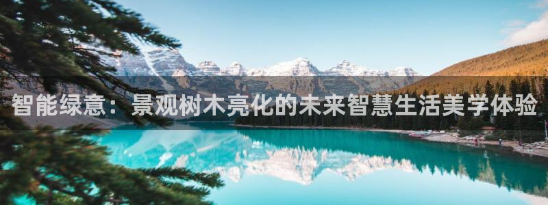 新宝gg地址