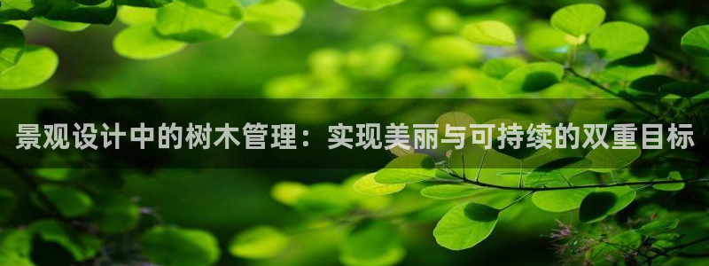 新宝gg奖金