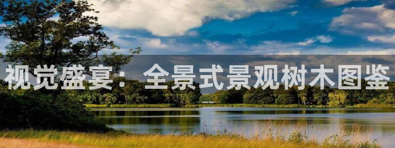 新宝gg代理