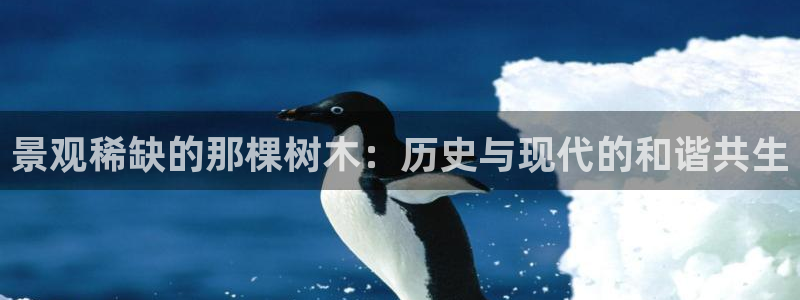 新宝gg线长