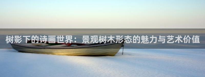 新宝gg主管、
