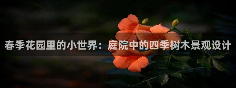 新宝gg如何代理