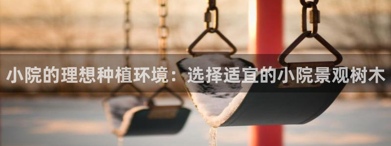 新宝gg娱乐盟主