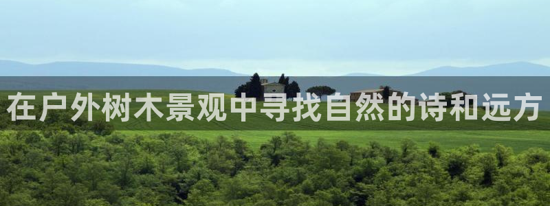 广东新宝电器gg