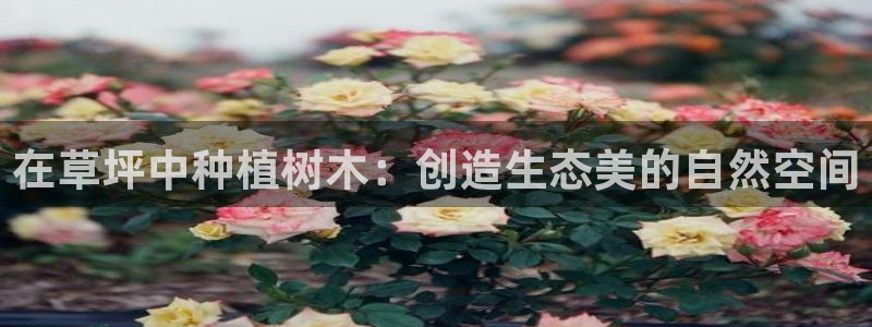 新宝gg平台反水