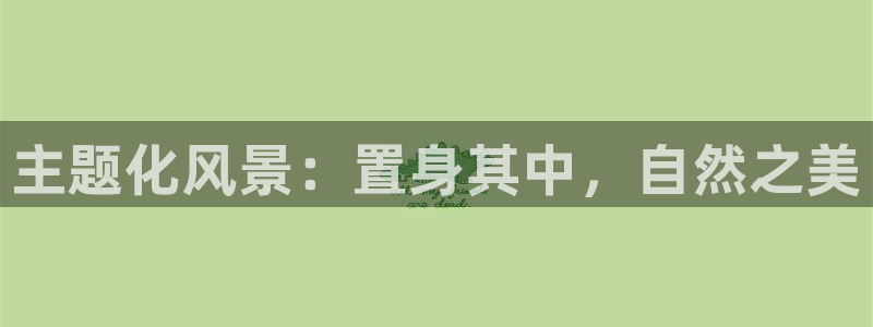 新宝gg与新宝5