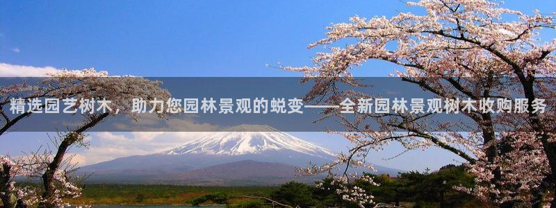 新宝 gg 登录：精选园艺树木，助力您园林景观的蜕变——全新园林景观树木收购服务