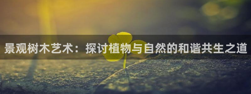 新宝奇迹GG：景观树木艺术：探讨植物与自然的和谐共生之道