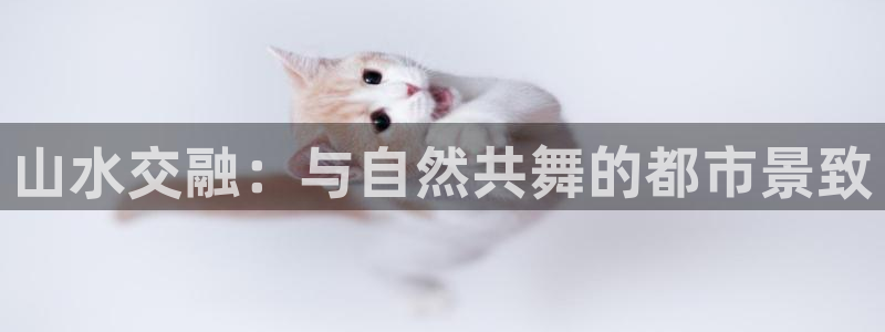 新宝gg cqdellar