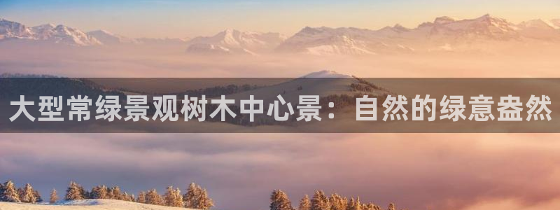 新宝gg代理