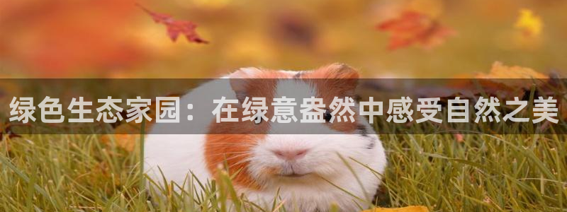 新宝皇冠gg：绿色生态家园：在绿意盎然中感受自然之美