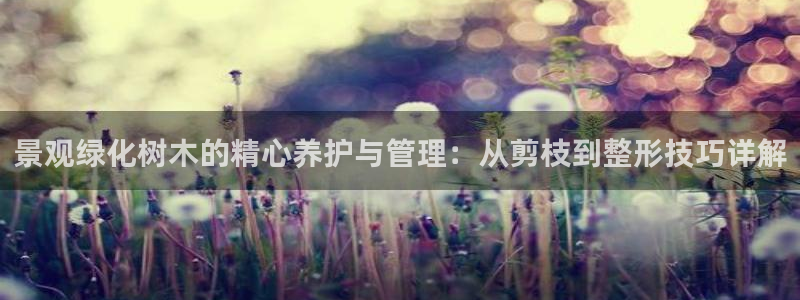 新宝gg 创造奇迹