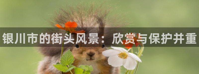 新宝gg一创造奇迹