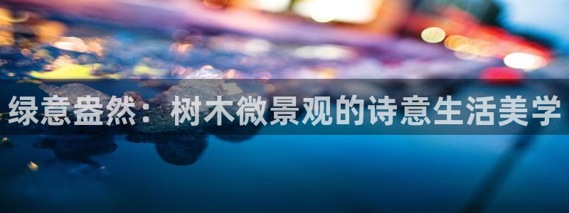 新宝gg指定平台：绿意盎然：树木微景观的诗意生活美学