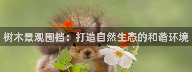创造奇迹新宝gg：树木景观围挡：打造自然生态的和谐环境