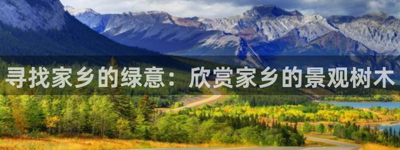 新宝gg挣钱：寻找家乡的绿意：欣赏家乡的景观树木