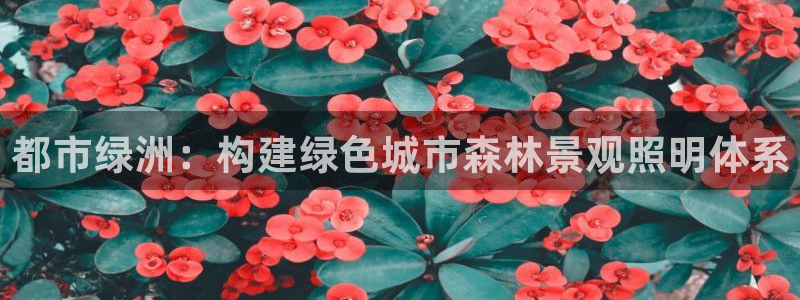 新宝gg娱乐注册全芏网：都市绿洲：构建绿色城市森林景观照明体系