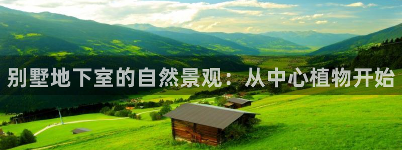 新宝GG电话：别墅地下室的自然景观：从中心植物开始