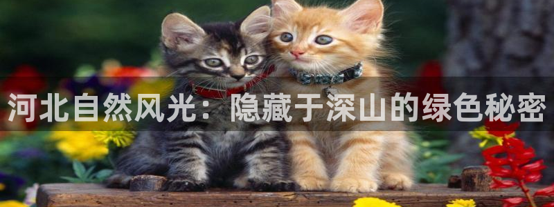 新宝gg app：河北自然风光：隐藏于深山的绿色秘密