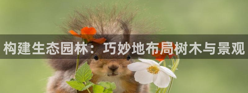 新宝哥gg：构建生态园林：巧妙地布局树木与景观