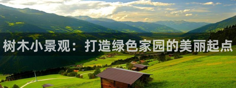 新宝gg维护：树木小景观：打造绿色家园的美丽起点