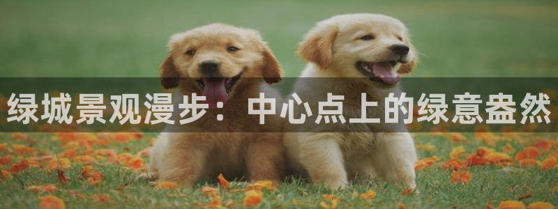 新宝gg2创造奇迹登录：绿城景观漫步：中心点上的绿意盎然