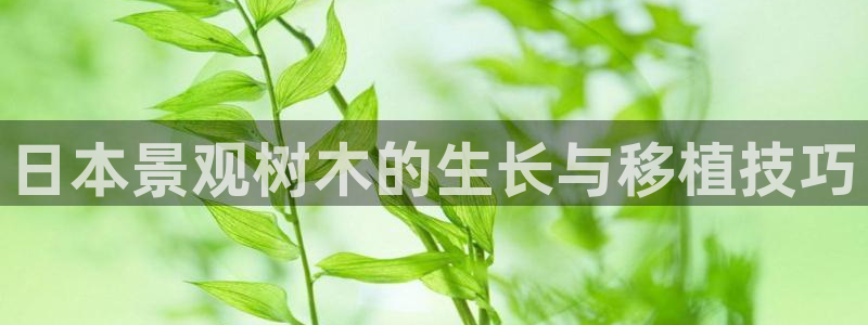 新宝GG亚洲：日本景观树木的生长与移植技巧